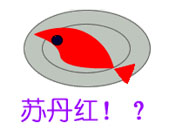 �c���Ŵ�
